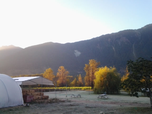Amanecer de Octubre - North Arm Farm