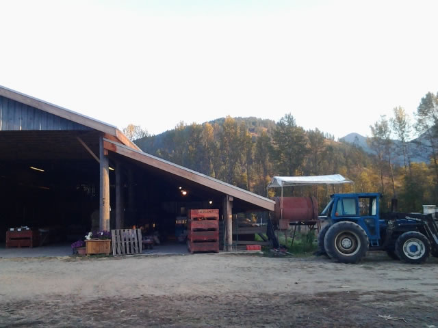 Una fría mañana de Octubre - North Arm Farm