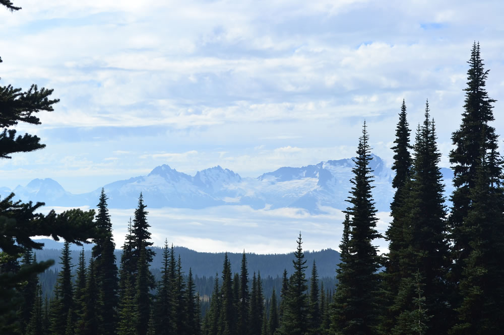 Camino a Black Tusk, caminando sobre las nubes!