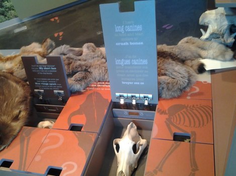 Haines Junction Visitor Center