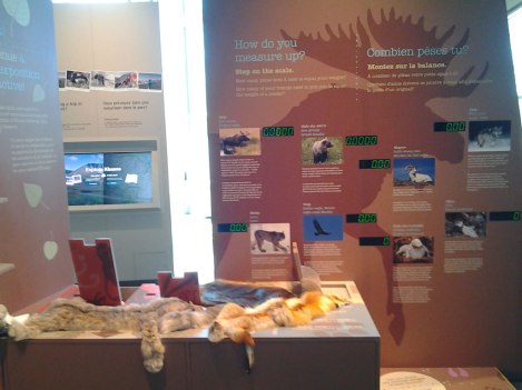 Haines Junction Visitor Center