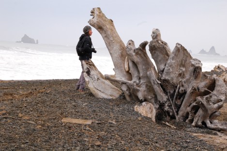 09_olympic peninsula