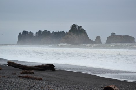 10_olympic peninsula