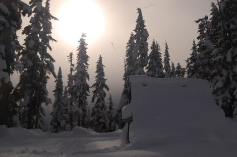 Viviendo en mitad de la nada