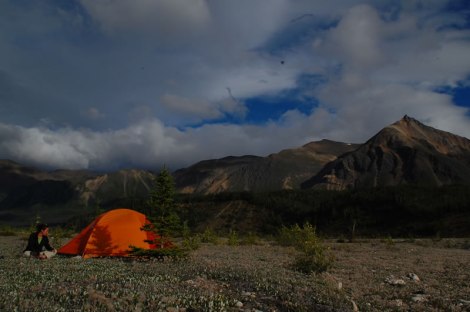 Acampando en tierra de osos.