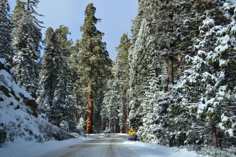 Tuvimos que poner 4x4, había mucho hielo en el camino!