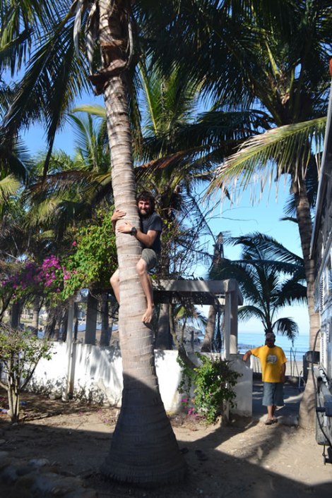 Intentando sacar cocos como los locales...