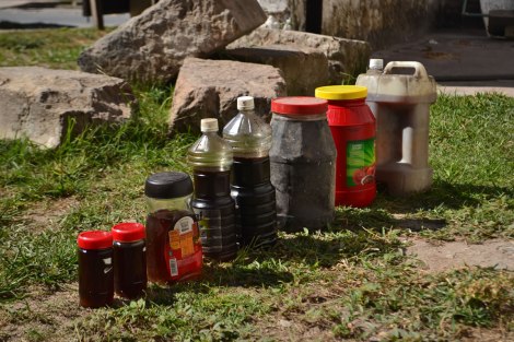 poquito aceite logramos recolectar en San Blas