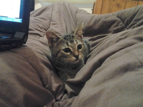 El es "your cuteness", "Royal", "Tapicha"... como quieran llamarle