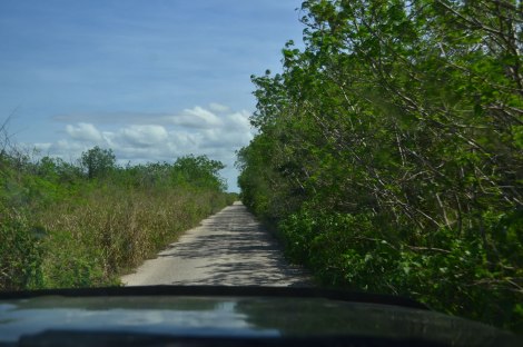 ruta_yucatan