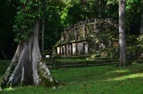 yaxchilan