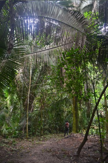 Caminando por uno de los senderos de la reserva