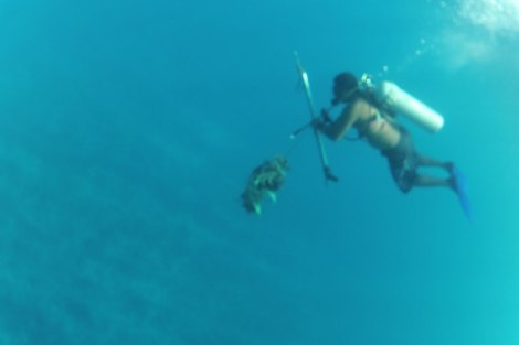 Paco subiendo con su anticucho marinero