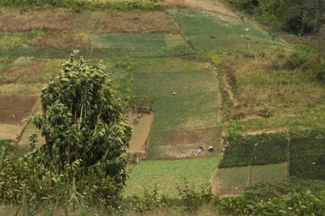 Cerros de cultivo de Zunil