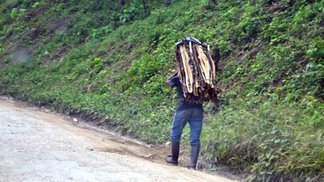 Hombres cargando leña, se ven a diario por los caminos de Guatemala