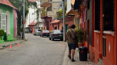 Buscando aceite por la Isla de Flores