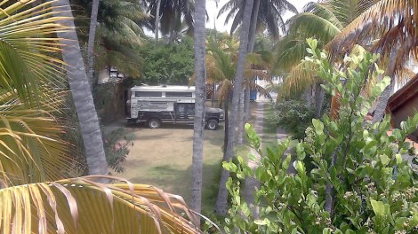 Y la Piscola nos espera bajo las palmeras