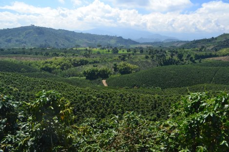 Eje_Cafetero_Colombia_UpaChalupa02