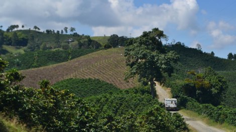 Eje_Cafetero_UpaChalupa03