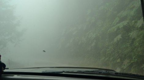 neblina_camino_a_mindo_ecuador