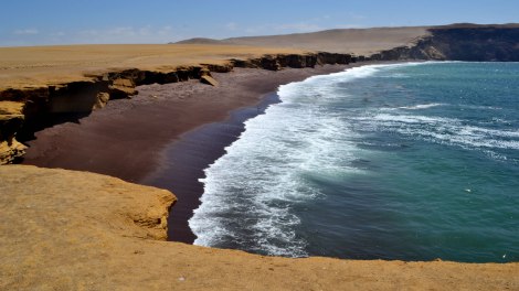 paracas06