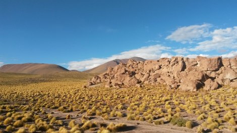 altiplano_chile_upachalupa