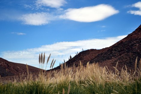 sanpedroatacama_upachalupa09
