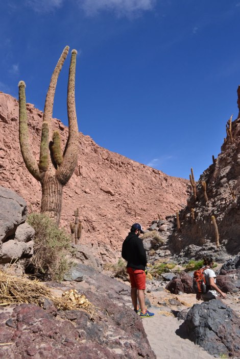 sanpedroatacama_upachalupa11