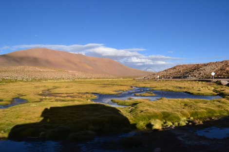 sanpedroatacama_upachalupa22