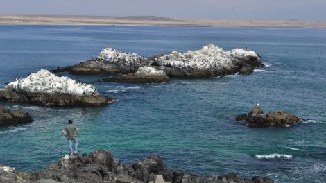 bahia_inglesa_upachalupa4