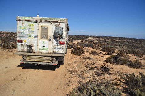 upachalupa_huasco_punta_choros13