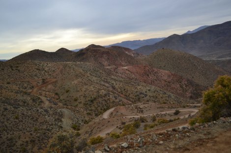 vicuna_ovalle_upachalupa