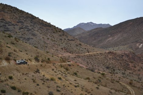 vicuna_ovalle_upachalupa02