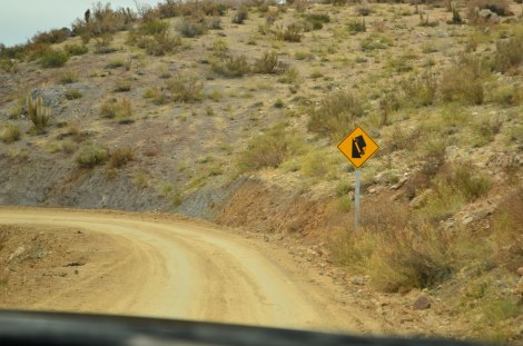 vicuna_ovalle_upachalupa03