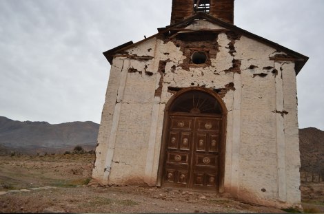 vicuna_ovalle_upachalupa04