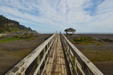 buchupureo_upachalupa01